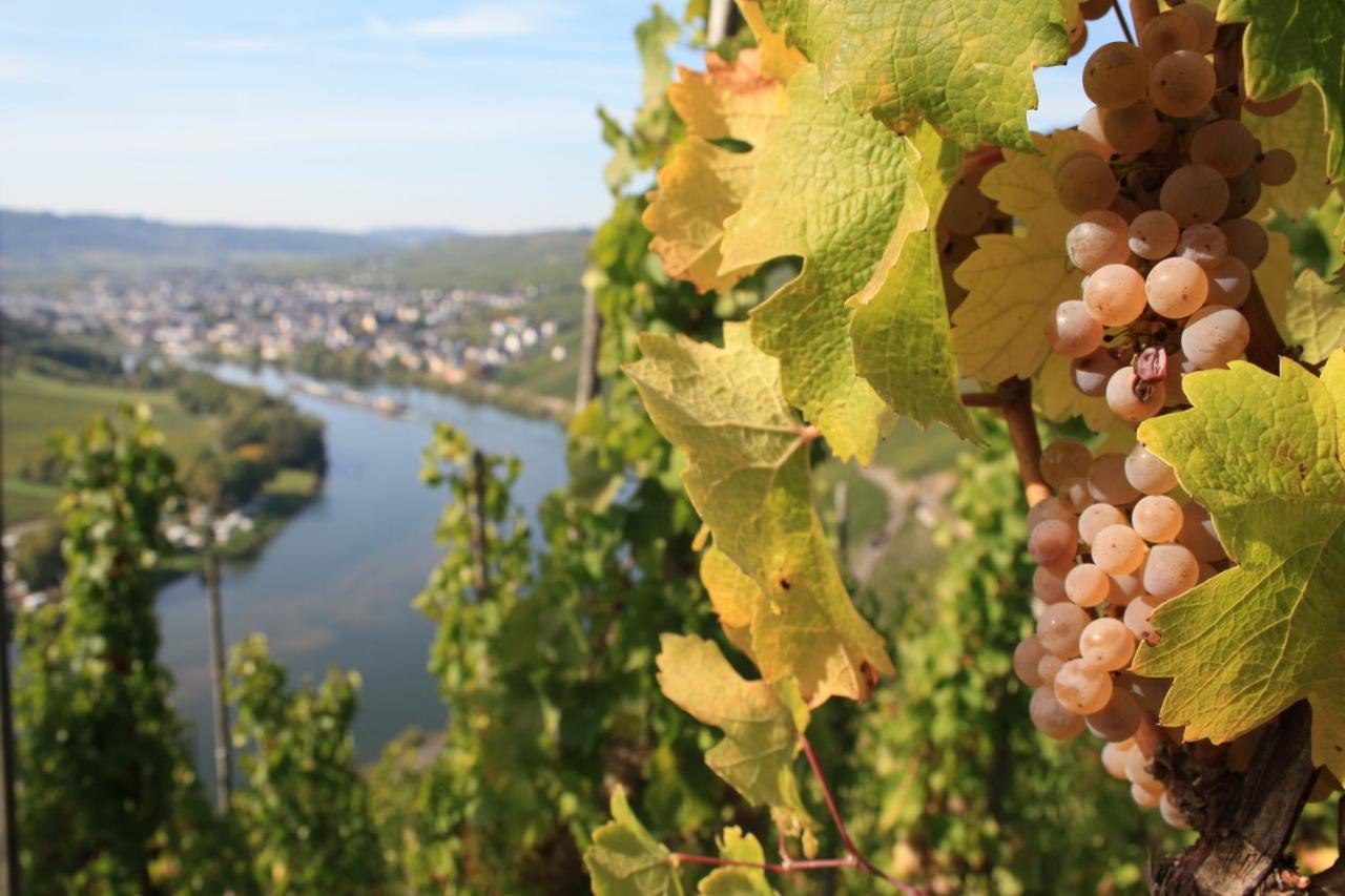 Weingut Markus Junglen Krov Exterior photo