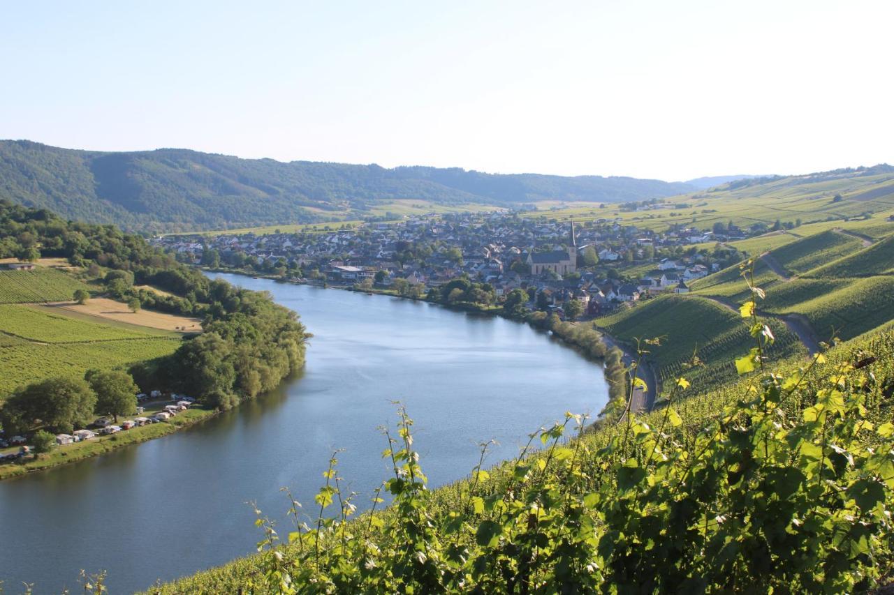 Weingut Markus Junglen Krov Exterior photo
